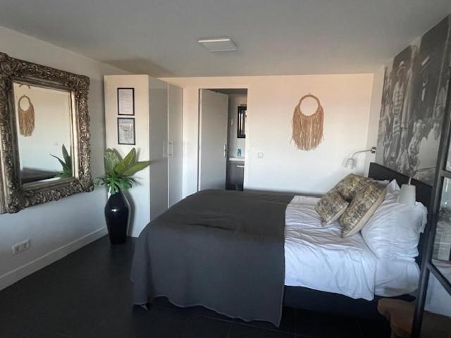 B&B Zeespiegel Zandvoort Bagian luar foto