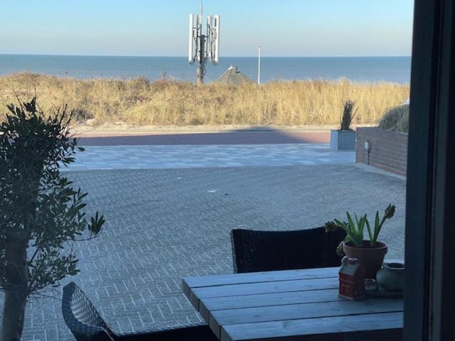 B&B Zeespiegel Zandvoort Bagian luar foto