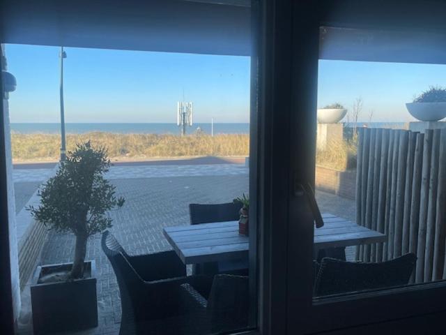 B&B Zeespiegel Zandvoort Bagian luar foto
