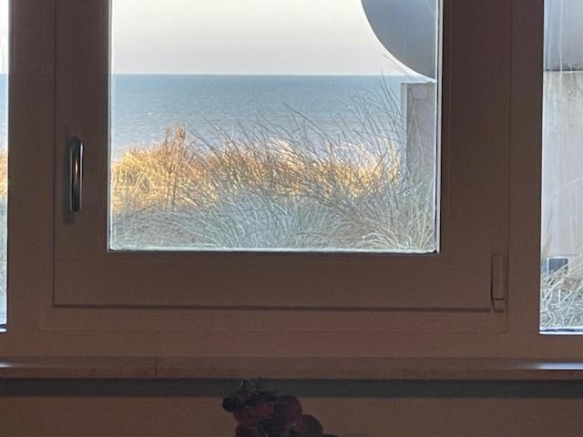B&B Zeespiegel Zandvoort Bagian luar foto