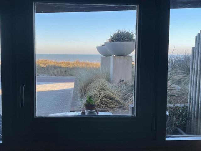 B&B Zeespiegel Zandvoort Bagian luar foto