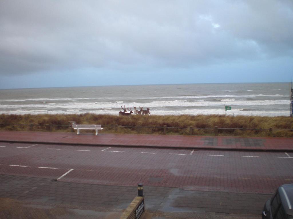 B&B Zeespiegel Zandvoort Ruang foto